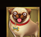 Pug symbol