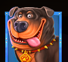 Rottweiler symbol