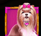 Shih Tzu symbol